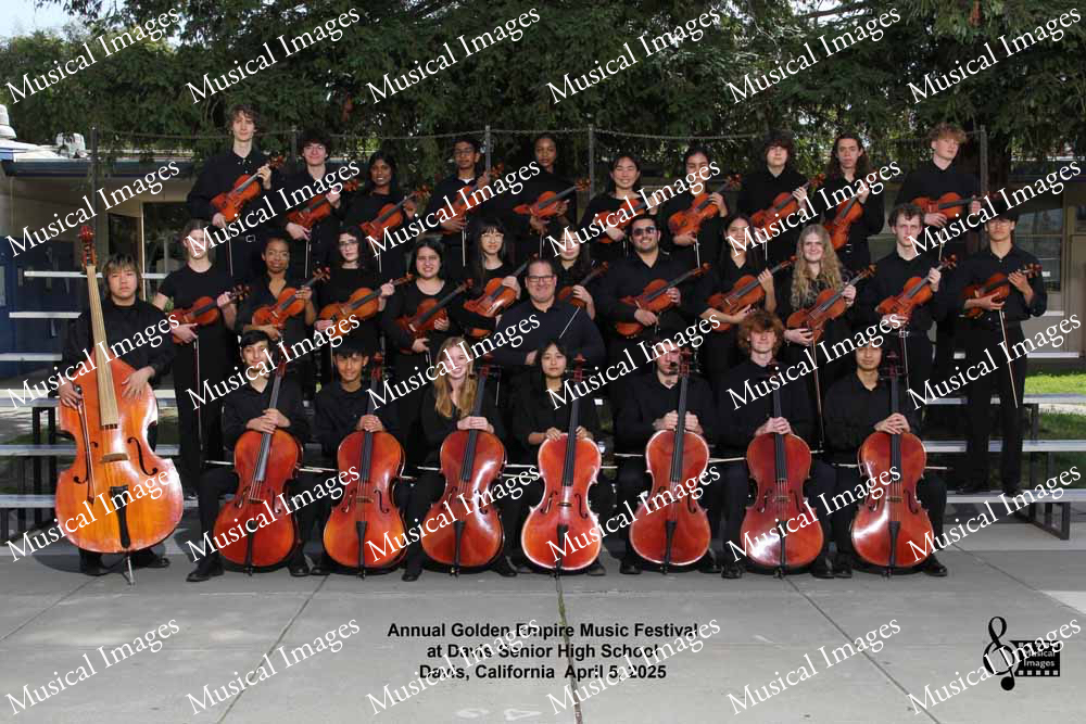 Musical Images